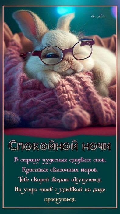Спокойной ночи картинки кролик в очках
