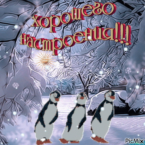 Гифки хорошего настроения пингвины